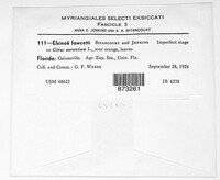 Elsinoe fawcettii image